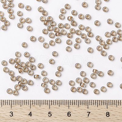 MIYUKI Round Rocailles Beads X-SEED-G008-RR3541-1