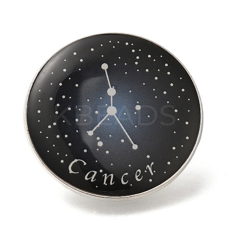 Twelve Constellation Creative Alloy Badges Constellation Brooches LS-JEWB-S033-01P-D-1
