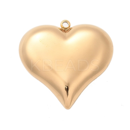 304 Stainless Steel Pendants STAS-Q349-02C-G-1