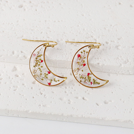 Moon 304 Stainless Steel Dangle Earrings WG43EF9-08-1