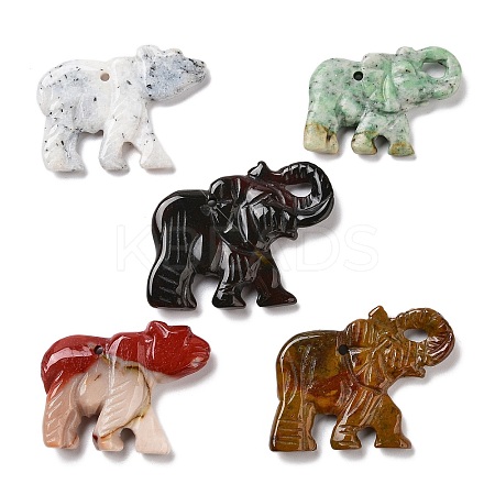 Natural Red Jasper/Unakite/Dyed & Heated Black Agate/Agate Animal Carved Pendants G-K383-02-1