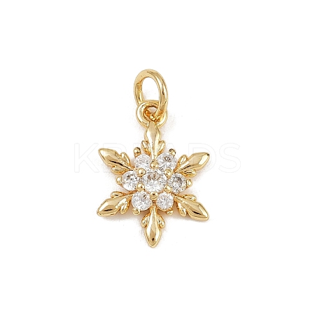 Brass Micro Pave Cubic Zirconia Charms KK-H077-02G-05-1