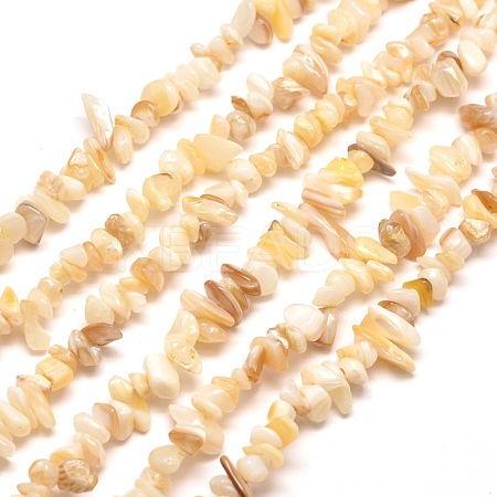 Natural Freshwater Shell Chip Bead Strands G-M205-20-1