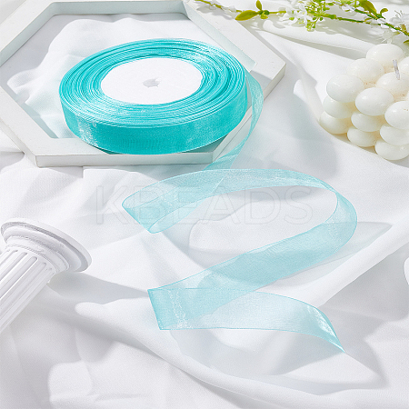 1 Roll Sheer Organza Ribbon OCOR-LP0001-73D-1