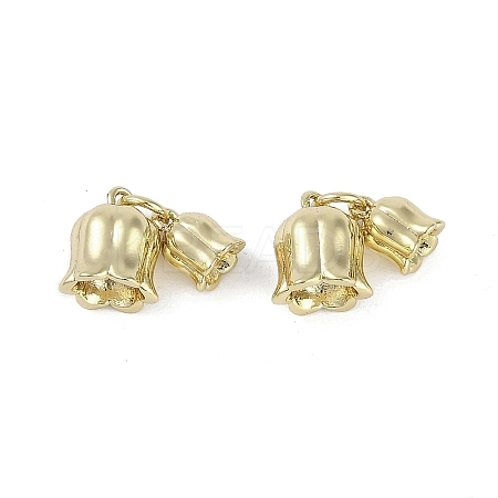 Brass Pendants KK-Z078-27G-1