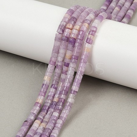 Natural Lepidolite/Purple Mica Stone Beads Strands G-H230-80-1