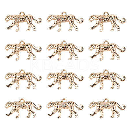 12Pcs Brass Charms KK-GO0002-28-1