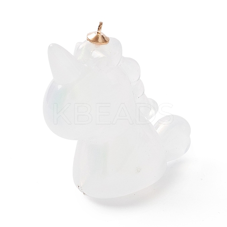 Acrylic Pendants TACR-P002-03B-02-1