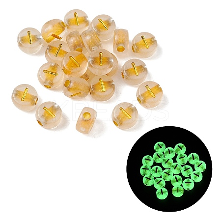 Luminous Transparent Acrylic Beads OACR-P037-01B-I-1