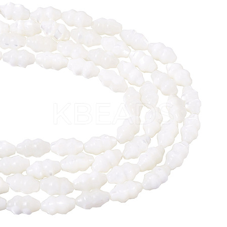 2 Strands Natural Trochus Shell Beads Strands SHEL-TA0001-20-1