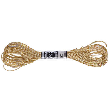 12-Ply Metallic Polyester Embroidery Floss PW-WG76880-05-1