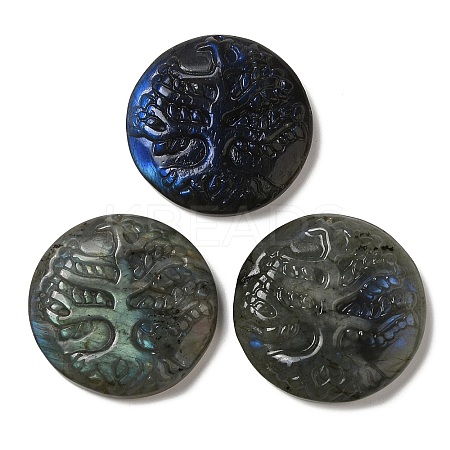 Natural Labradorite Pendants G-C091-03H-1