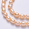 Natural Cultured Freshwater Pearl Beads Strands PEAR-T001-06B-4