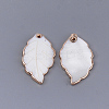 Electroplate Freshwater Shell Pendants SHEL-S274-57-2