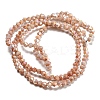 Opaque Baking Paint Glass Beads Strands DGLA-F002-01D-3
