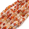 Dyed Natural Carnelian Beads Strands G-F465-22-1