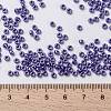 MIYUKI Round Rocailles Beads SEED-G008-RR0432-4