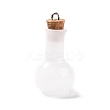Glass Pendants LS-GLAA-P053-01A-05-1