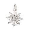 Rack Plating Brass Micro Pave Cubic Zirconia Pendants KK-I716-01P-02-1