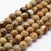 Natural Picture Jasper Beads Strands G-G736-27-10mm-1