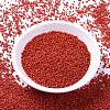 MIYUKI Delica Beads SEED-MY11-DB0795-2