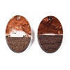 Transparent Resin and Walnut Wood Pendants RESI-T057-04C-2