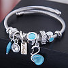 Adjustable Stainless Steel European Bangles FS-WG2FA3F-03-1