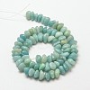 Natural Amazonite Nuggets Beads Strands G-P091-53-2