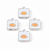 Transparent Acrylic Beads ACRC-S039-09G-1