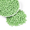 Baking Paint Pearlized Glass Seed Beads SEED-T007-21A-13-3