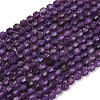 Natural Lepidolite/Purple Mica Stone Beads Strands G-A260-A04-01-5