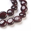 Natural Garnet Beads Strands G-F575-18D-2