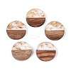 Resin & Walnut Wood Pendants RESI-T057-39A-1