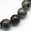 Natural Larvikite Round Beads Strands LS-G-S159-6mm-1