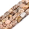 Natural Feldspar Beads Strands G-T138-84-4