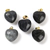 Natural Labradorite Pendants G-J386-H15-G-1