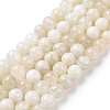 Natural White Moonstone Beads Strands G-F674-08-8mm-01-4