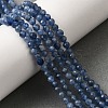 Natural Kyanite Beads Strands G-F799-E01-4mm-1