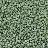 MIYUKI Delica Beads X-SEED-J020-DB2310-3