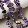 Natural Charoite Beads Strands G-P604-A29-01-1