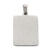 Non-Tarnish 304 Stainless Steel Pendants STAS-K216-48G-P-2