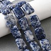Natural Blue Spot Jasper Beads Strands G-S386-A05-1