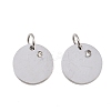 316 Surgical Stainless Steel Pendants STAS-J038-06P-1