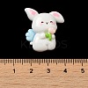 Opaque Resin Cabochons RESI-F049-02C-3