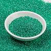 MIYUKI Round Rocailles Beads X-SEED-G009-RR0572-2