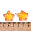 Marine Series Transparent Resin Pendants RESI-E031-02P-05-6