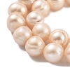 Natural Cultured Freshwater Pearl Beads Strands PEAR-C003-21D-4