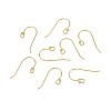 925 Sterling Silver Earring Hooks STER-N016-29G-1