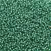 TOHO Round Seed Beads X-SEED-TR11-2119-2