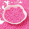 6/0 Opaque Baking Paint Glass Seed Beads X1-SEED-M012-02A-22-2
